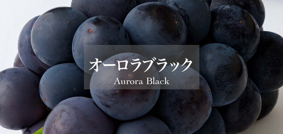 オーロラブラック – 新宿高野オンラインショップ