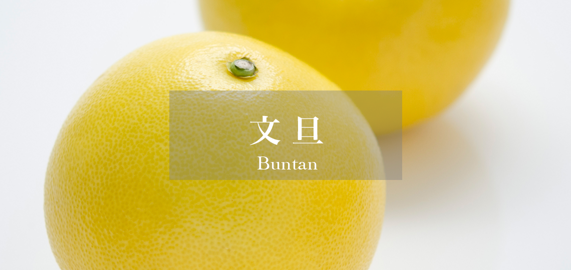 文旦 – 新宿高野オンラインショップ