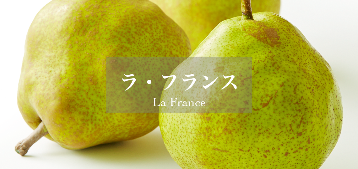 ラフランス フェイクフルーツ 12子 結婚式 ラ・フランス | 新宿高野