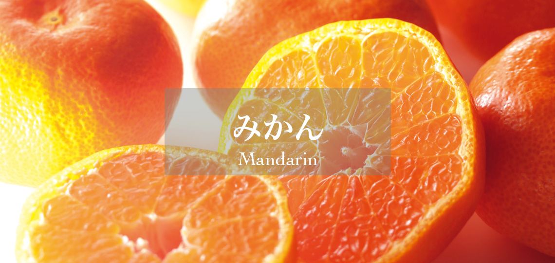 collection_nansui_5fbd2695-