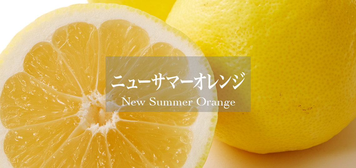 ニューサマーオレンジ – 新宿高野オンラインショップ