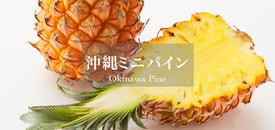 沖縄ミニパイン – 新宿高野オンラインショップ