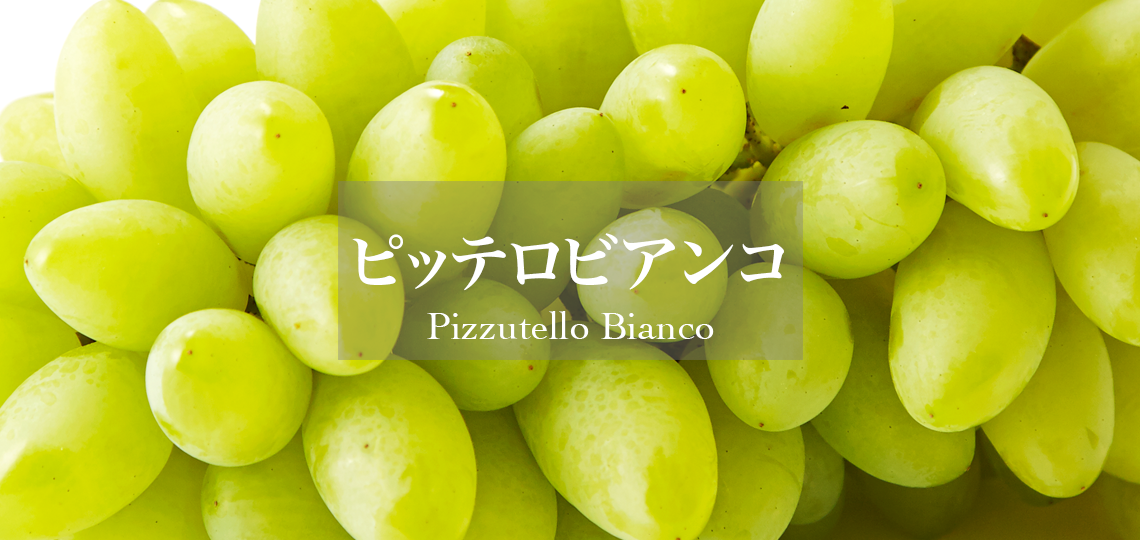 ピッテロビアンコ | 新宿高野 高級フルーツギフトの老舗果物専門店