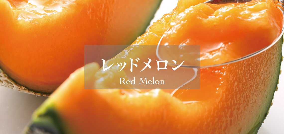 レッドメロン | 新宿高野 高級フルーツギフトの老舗果物専門店 – 新宿
