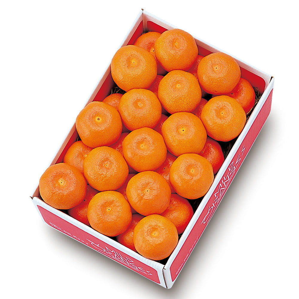 新宿高野 葵クラブみかんA | お歳暮 ギフト 贈り物 フルーツ 内祝い