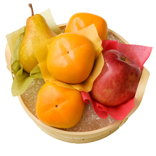 フルーツバスケットKA