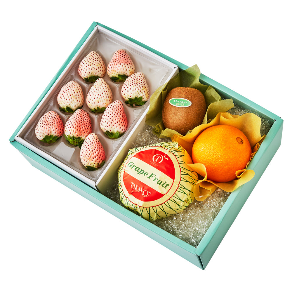 Ｊ・レオーン、果物と小鳥、超希少、新品額付、状態良好 新宿高野 紅まどんな＆旬果コンビC – 新宿高野オンラインショップ