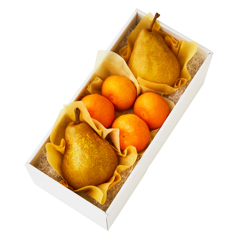 新宿高野 洋梨&旬果C #29100