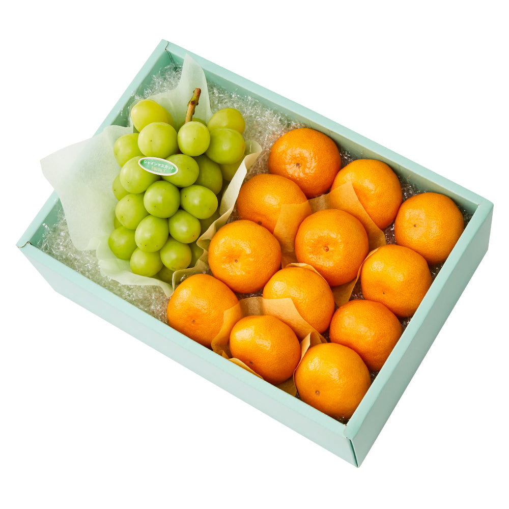 新宿高野 長野シャインマスカット＆旬果J – 新宿高野オンラインショップ