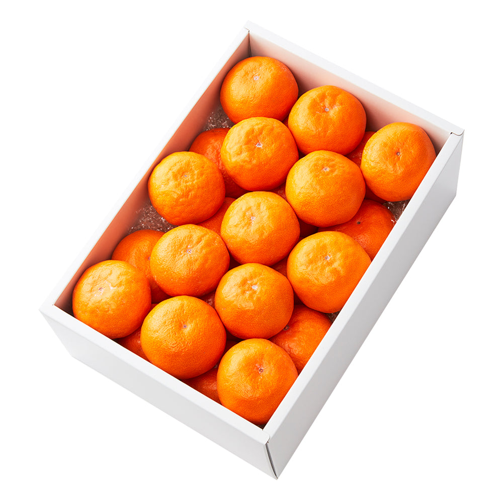 新宿高野 葵クラブみかんEB – 新宿高野オンラインショップ