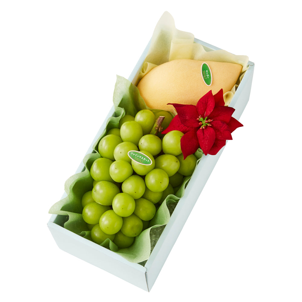 新宿高野 ウインターフルーツギフトEE #29100