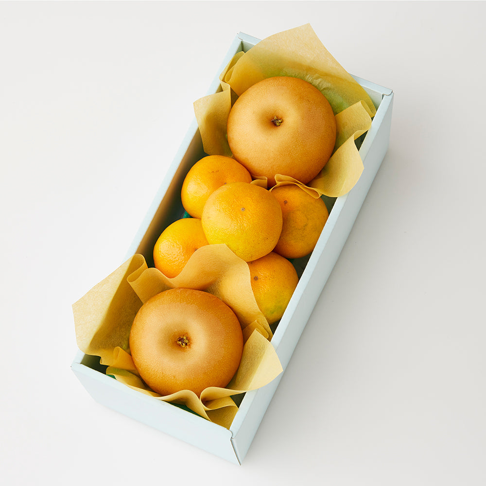 新宿高野 秋なりみかん&旬果G #29100