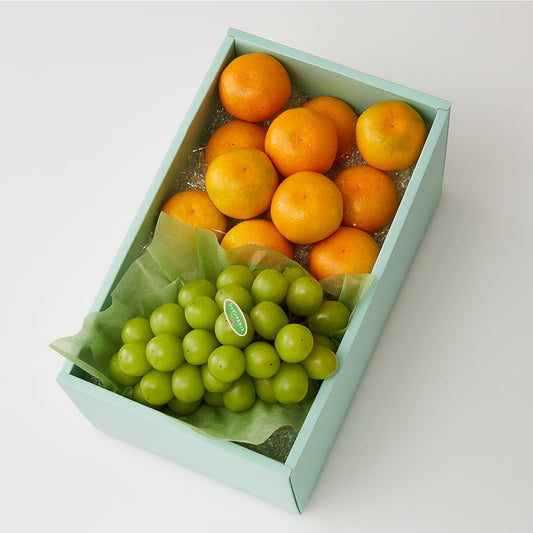 新宿高野 秋なりみかん&旬果H #29100