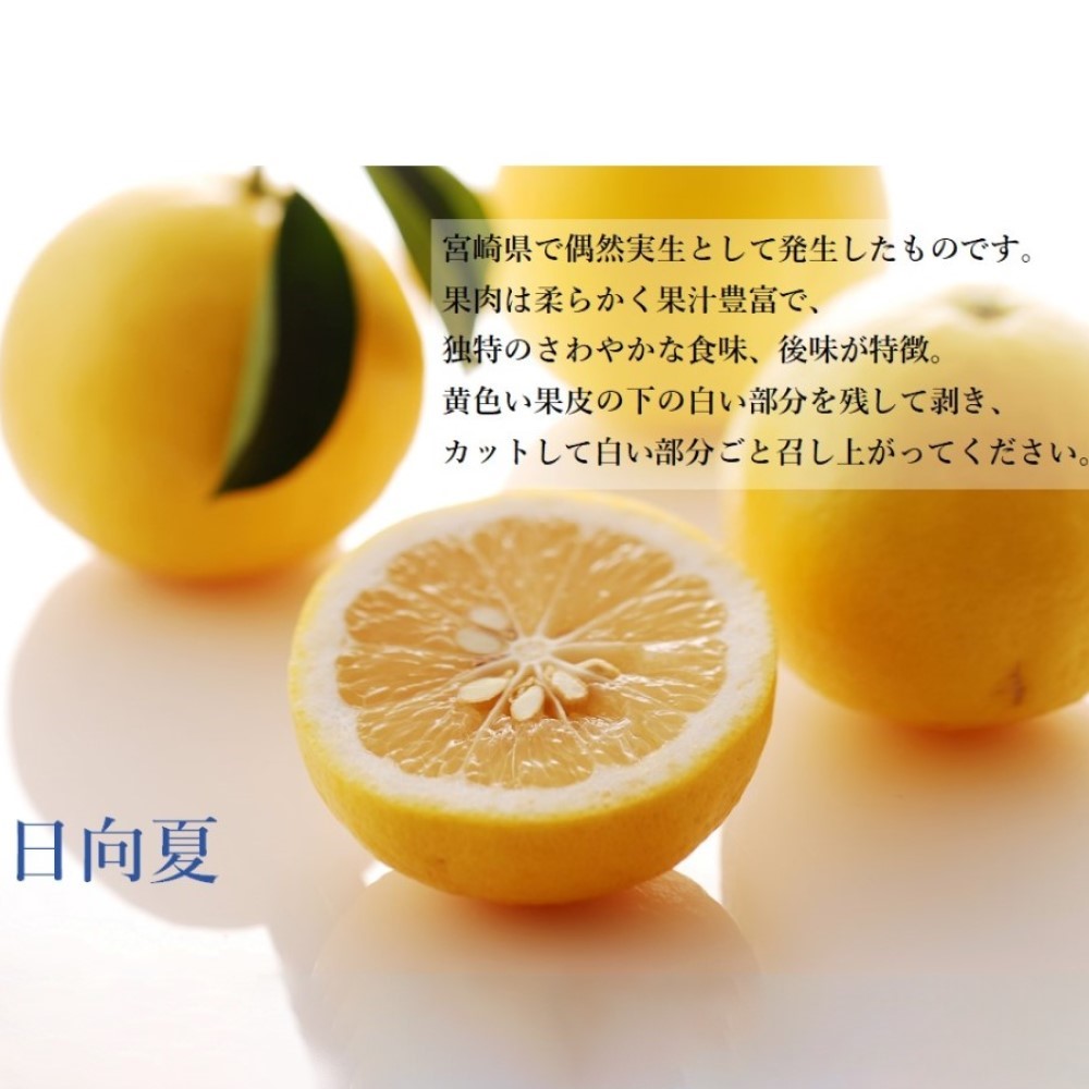 新宿高野 マスクメロン＆柑橘コンビC #29100