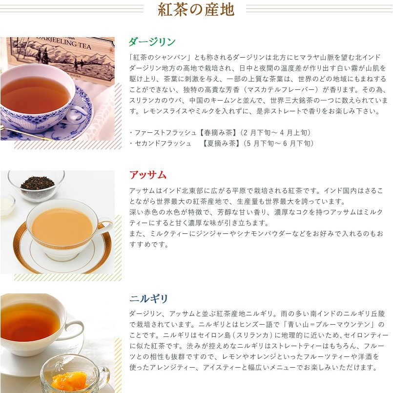 新宿高野 栗の紅茶ティーバッグ7入