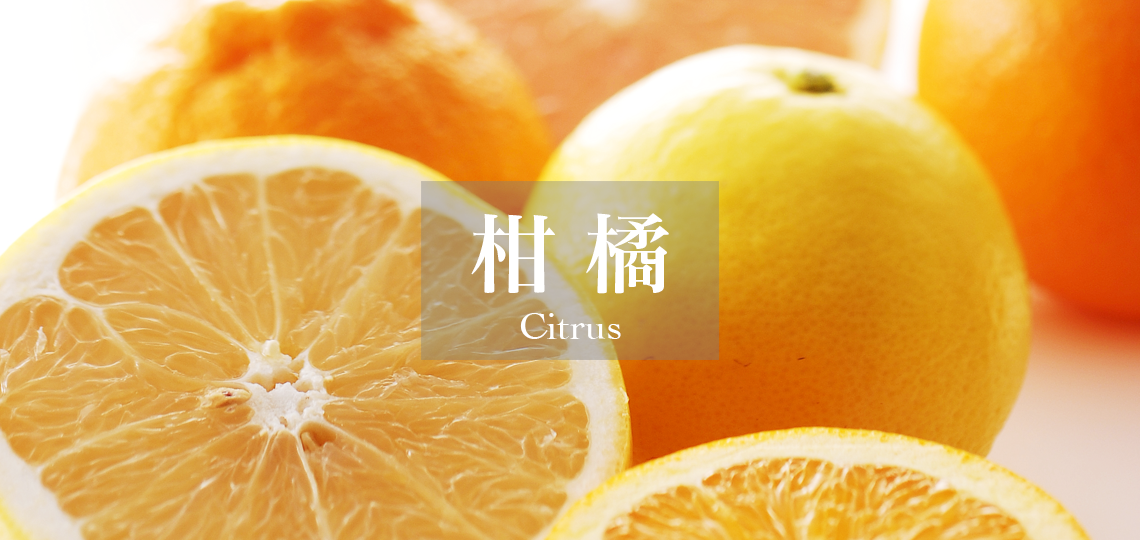 柑橘