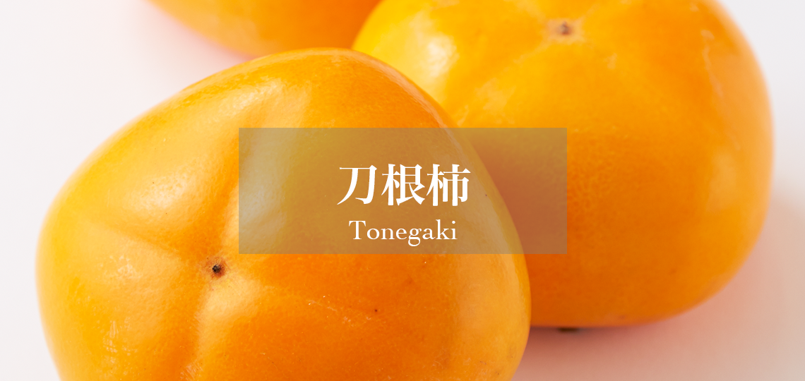 刀根柿