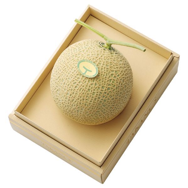 マスクメロンギフト