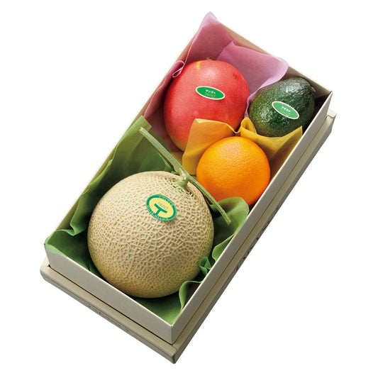 新宿高野 マスクメロン＆トロピカルフルーツセット #11280