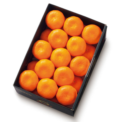 新宿高野 愛媛みかん #12027