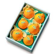 新宿高野 デコポン®A #12102