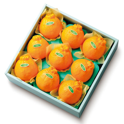 新宿高野 デコポン®B #12119