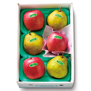 新宿高野 冬果コンビ #53105