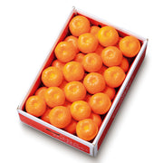 新宿高野 葵クラブみかんB #12010