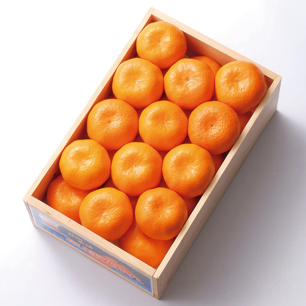 新宿高野 葵クラブ高野みかん #12300