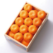 新宿高野 葵クラブ高野みかん #12300