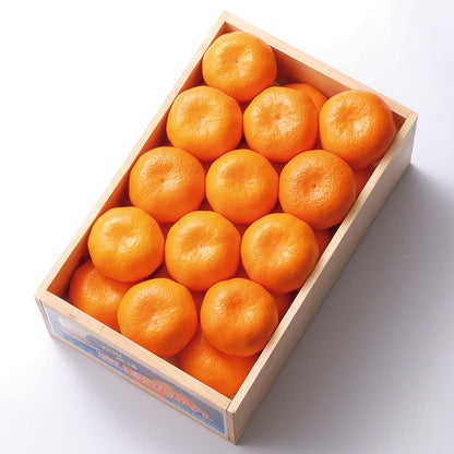 新宿高野 葵クラブ高野みかん #12300