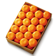 新宿高野 青島みかん #12096