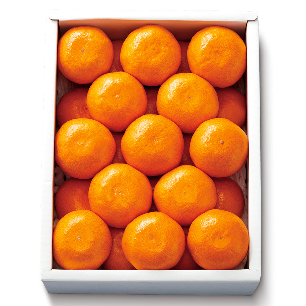 新宿高野 みかん #51200