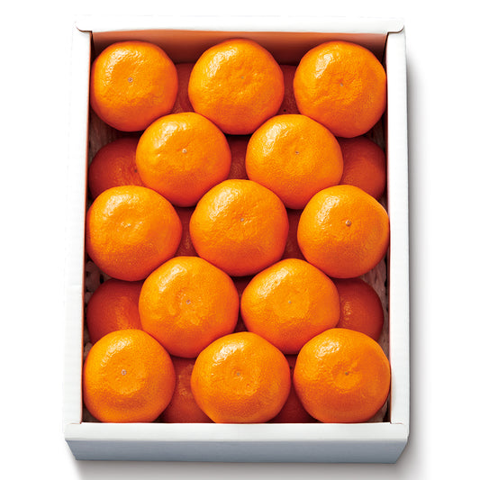 新宿高野 みかん #51200