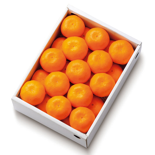 新宿高野 河内高野みかんA #12164