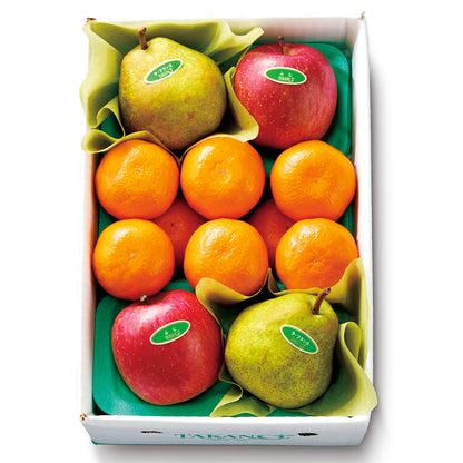 新宿高野 ウインターフルーツB #53334