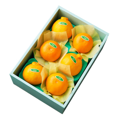 新宿高野 デコポン＆せとか6入 #29100