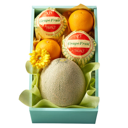 新宿高野 父の日 メロン＆シトラス #93255