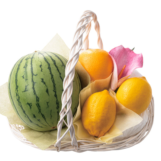 新宿高野 母の日 フルーツバラエティーE #93521