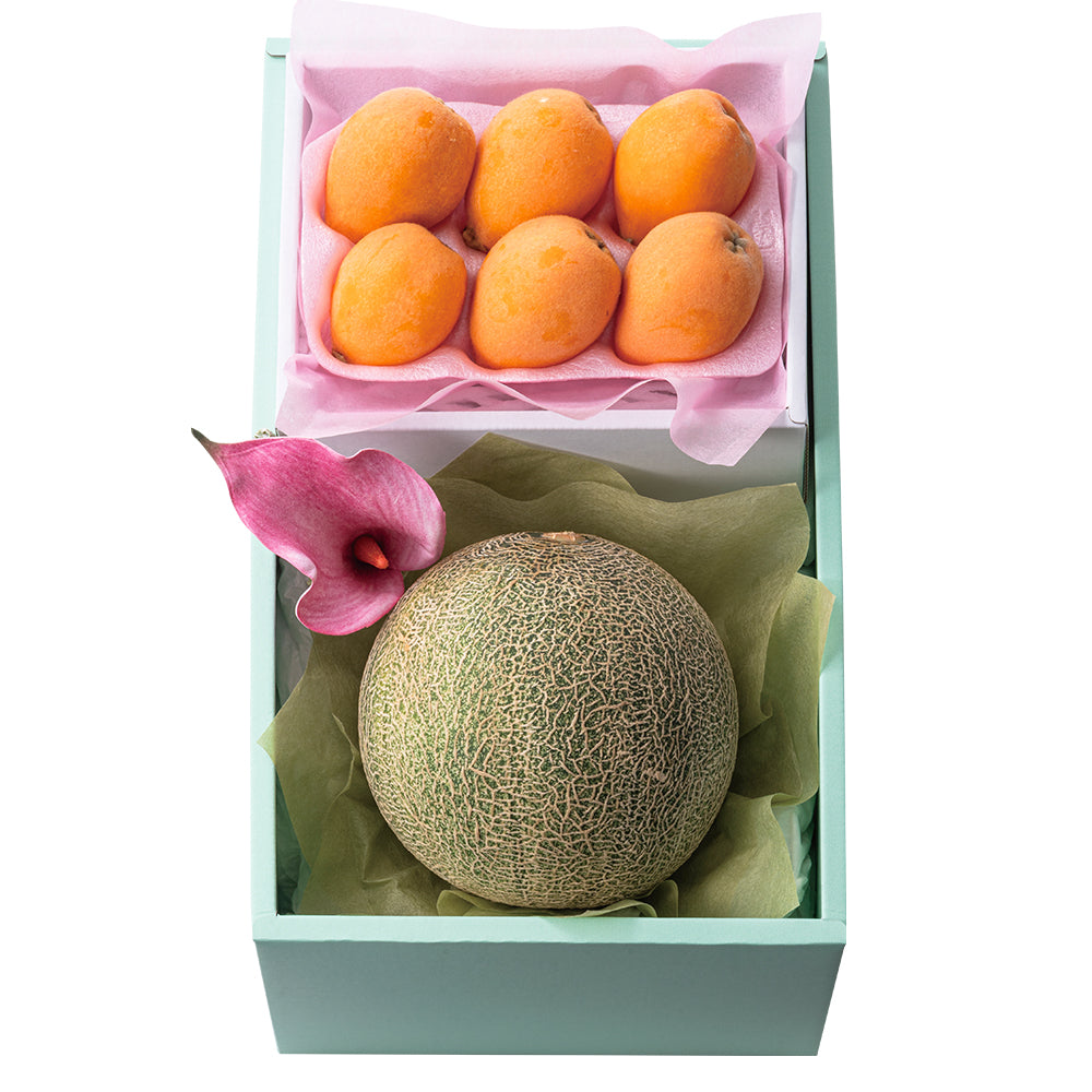 新宿高野 母の日 メロン＆枇杷セット #93477