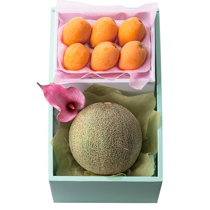 新宿高野 母の日 メロン＆枇杷セット #93477