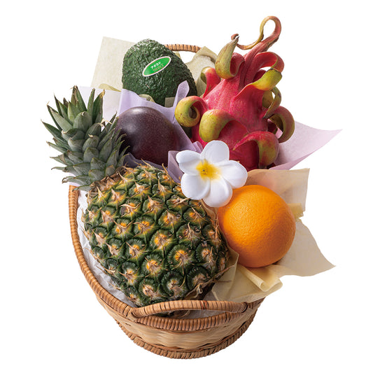 新宿高野 母の日 トロピカルフルーツセット #93019