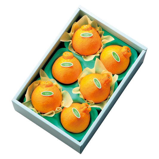 新宿高野 デコポン6入