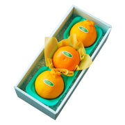 新宿高野 デコポン＆せとか3入 #29100