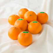 新宿高野 Day Fruit デイフルーツ せとか #29100