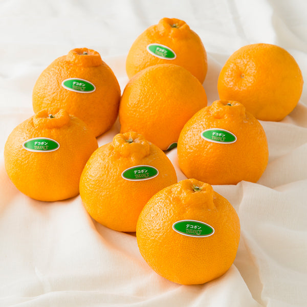 新宿高野 Day Fruit デイフルーツ デコポン – 新宿高野オンラインショップ