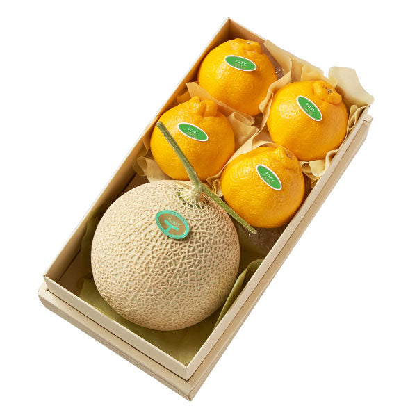 新宿高野 マスクメロン＆デコポン