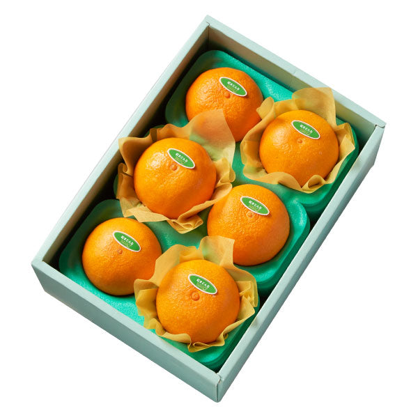 新宿高野 紅まどんな6入 – 新宿高野オンラインショップ