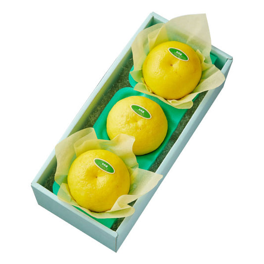 新宿高野 日向夏3入 #29100