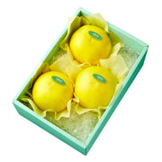 新宿高野 水晶文旦3入 #29100